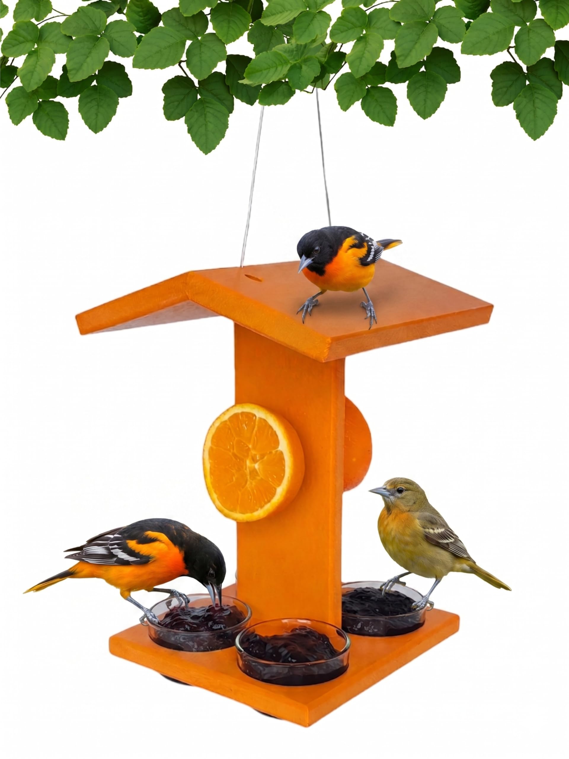 Aurelie. ( オレリー) 5点セット Amazon.com : Backyard Essentials Mammoth Hanging Oriole Feeder